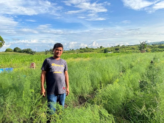 From Sari-Sari Store to Agribusiness Success: The Inspiring Journey of Niño de Guzman